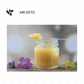 ARI SÜTÜ 40 GR ADET