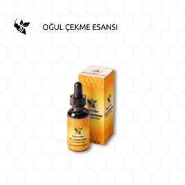 OĞUL ÇEKME ESANSI 20 ML X 20 ADET